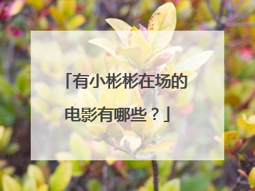 有小彬彬在场的电影有哪些?