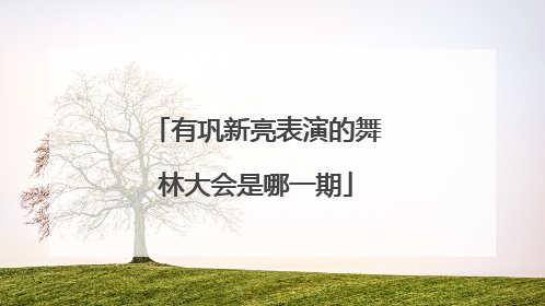 有巩新亮表演的舞林大会是哪一期