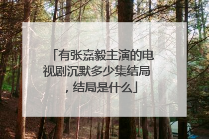有张嘉毅主演的电视剧沉默多少集结局,结局是什么