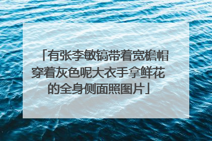 有张李敏镐带着宽檐帽穿着灰色呢大衣手拿鲜花的全身侧面照图片