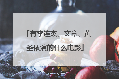 有李连杰、文章、黄圣依演的什么电影