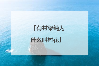 有村架纯为什么叫村花