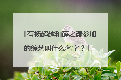 有杨超越和薛之谦参加的综艺叫什么名字？