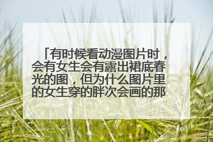 有时候看动漫图片时,会有女生会有露出裙底春光的图,但为什么图片里的女生穿的胖次会画的那么细致,感觉