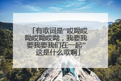 有歌词是“哎呦哎呦哎呦哎呦，我要我要我要我们在一起” 这是什么歌啊