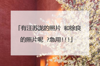 有汪苏泷的照片 和徐良的照片呢 ?急用!!!