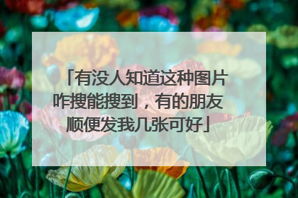 有没人知道这种图片咋搜能搜到，有的朋友顺便发我几张可好