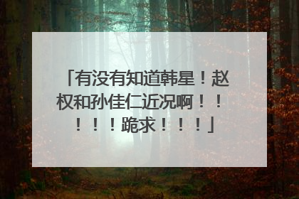 有没有知道韩星！赵权和孙佳仁近况啊！！！！！跪求！！！