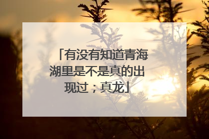 有没有知道青海湖里是不是真的出现过;真龙