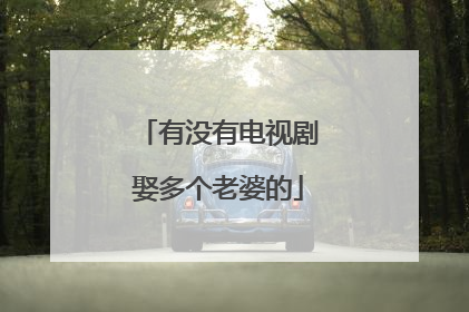 有没有电视剧娶多个老婆的