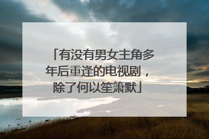 有没有男女主角多年后重逢的电视剧，除了何以笙箫默