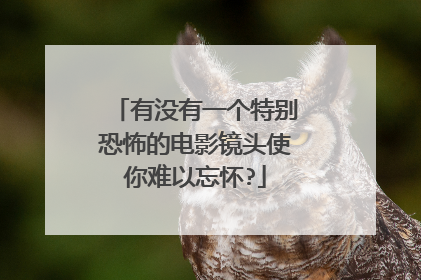有没有一个特别恐怖的电影镜头使你难以忘怀?