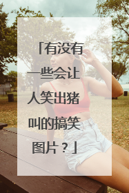 有没有一些会让人笑出猪叫的搞笑图片?