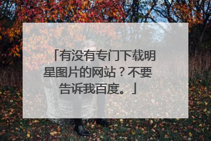有没有专门下载明星图片的网站？不要告诉我百度。