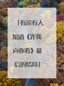 有没有人知道《许我向你看》最后的结局