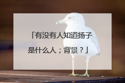 有没有人知道扬子是什么人；背景？