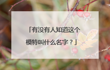 有没有人知道这个模特叫什么名字？
