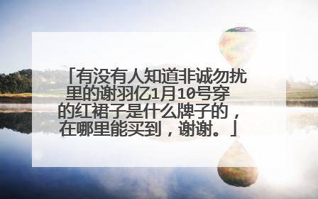 有没有人知道非诚勿扰里的谢羽亿1月10号穿的红裙子是什么牌子的，在哪里能买到，谢谢。