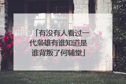 有没有人看过一代枭雄有谁知道是谁背叛了何辅堂