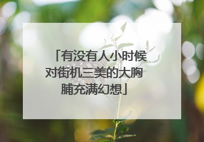 有没有人小时候对街机三美的大胸脯充满幻想