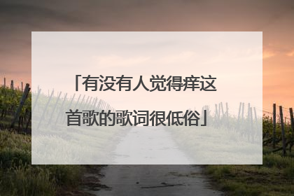 有没有人觉得痒这首歌的歌词很低俗
