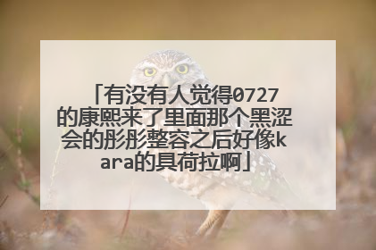 有没有人觉得0727的康熙来了里面那个黑涩会的彤彤整容之后好像kara的具荷拉啊
