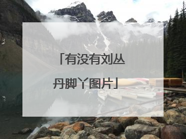 有没有刘丛丹脚丫图片