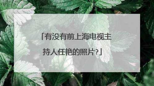 有没有前上海电视主持人任艳的照片?