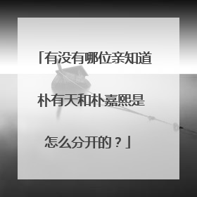 有没有哪位亲知道 朴有天和朴嘉熙是怎么分开的？