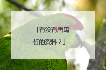 有没有唐禹哲的资料?