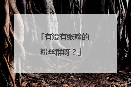 有没有张翰的粉丝群呀？