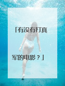 有没有打真军的电影？