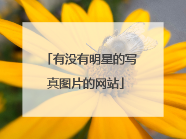 有没有明星的写真图片的网站