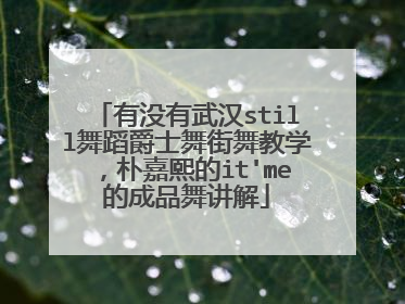 有没有武汉still舞蹈爵士舞街舞教学,朴嘉熙的it'me的成品舞讲解