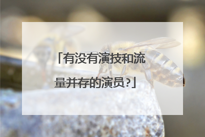 有没有演技和流量并存的演员?