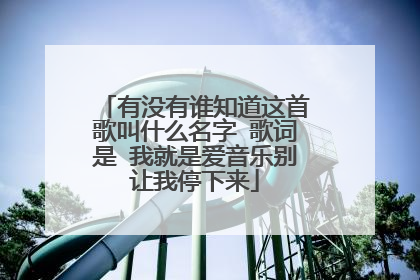有没有谁知道这首歌叫什么名字 歌词是 我就是爱音乐别让我停下来