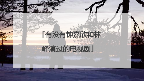 有没有钟嘉欣和林峰演过的电视剧