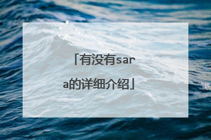 有没有sara的详细介绍