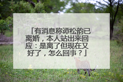有消息称谭松韵已离婚,本人站出来回应:是离了但现在又好了,怎么回事?