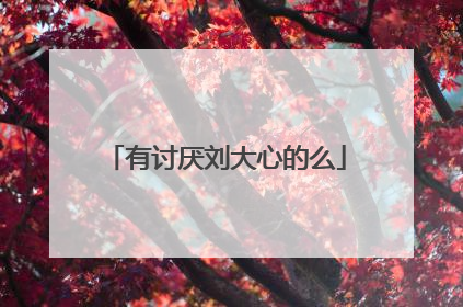有讨厌刘大心的么