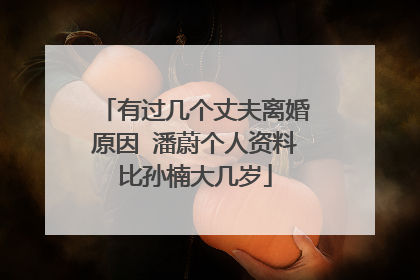 有过几个丈夫离婚原因 潘蔚个人资料比孙楠大几岁