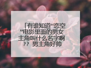 有谁知道“恋空”电影里面的男女主角叫什么名字啊?? 男主角好帅好帅啊~~~