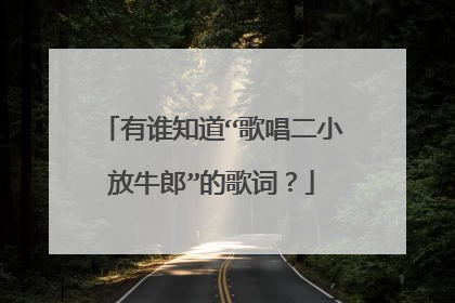 有谁知道“歌唱二小放牛郎”的歌词?