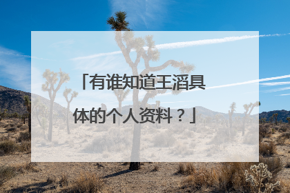 有谁知道王滔具体的个人资料？