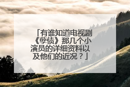有谁知道电视剧《孽债》那几个小演员的详细资料以及他们的近况?