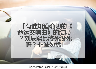 有谁知道确切的《命运交响曲》的结局?刘辰熙最终死没死呀?非诚勿扰