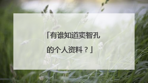 有谁知道窦智孔的个人资料？