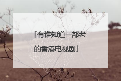 有谁知道一部老的香港电视剧