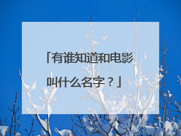 有谁知道和电影叫什么名字？
