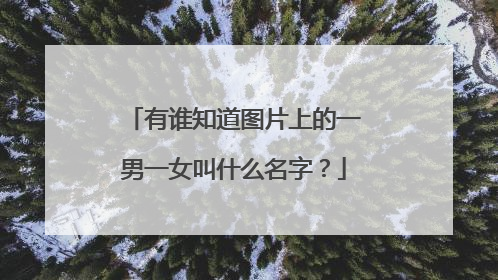 有谁知道图片上的一男一女叫什么名字?